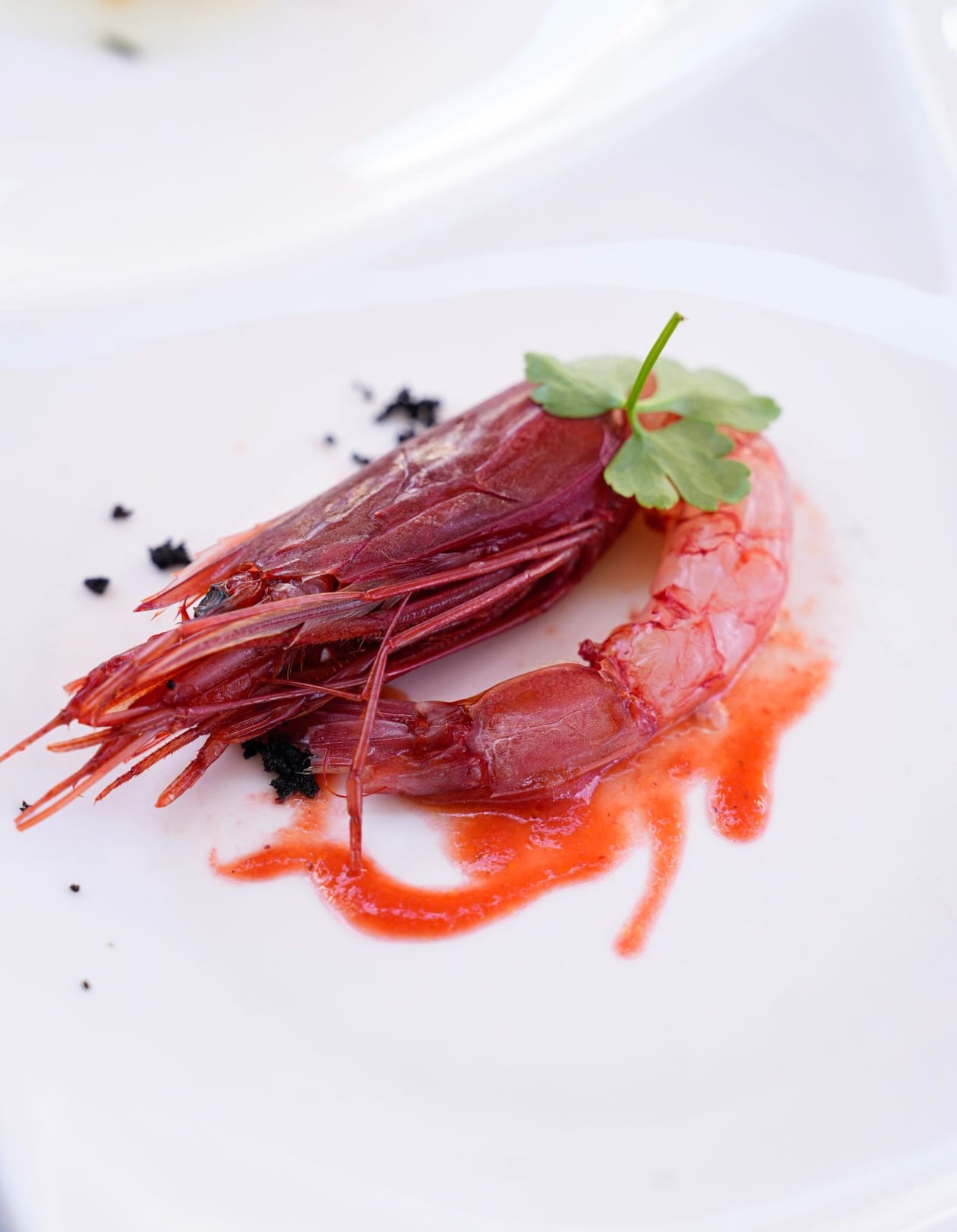 Gambero rosso con gazpacho di fragole e olio al levistico.