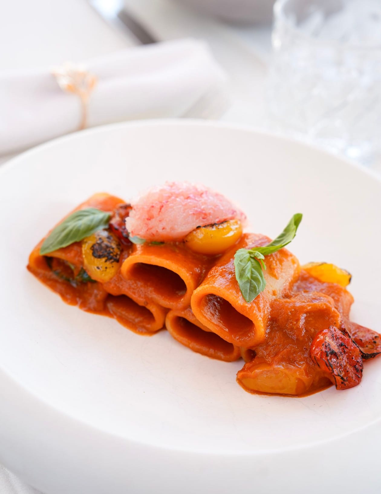 Pacchero ai tre pomodori, gambero rosso e basilico.