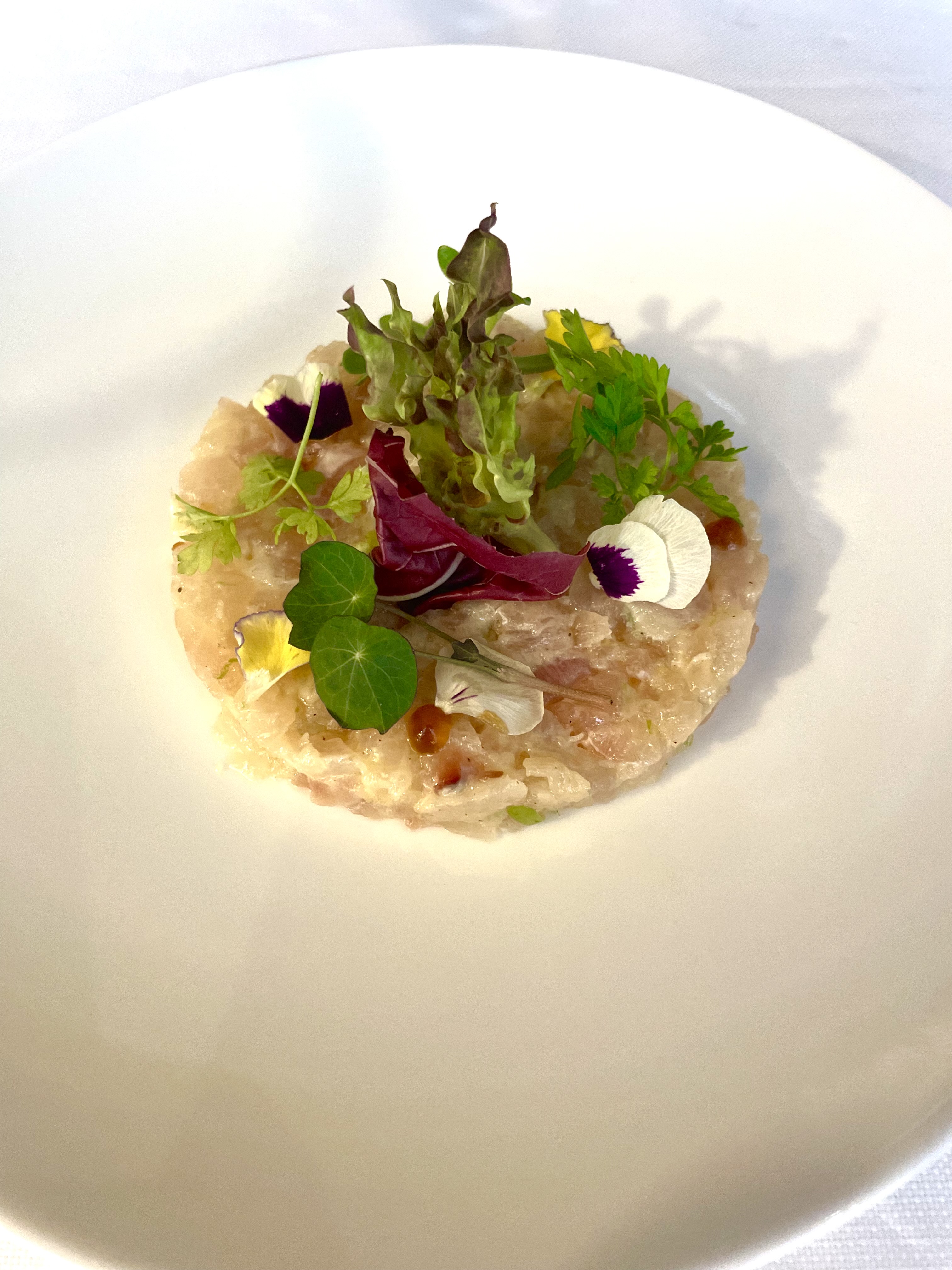 Tartare di spigola, peperoncino caramellato, maionese alle erbe e foglie d'estate.