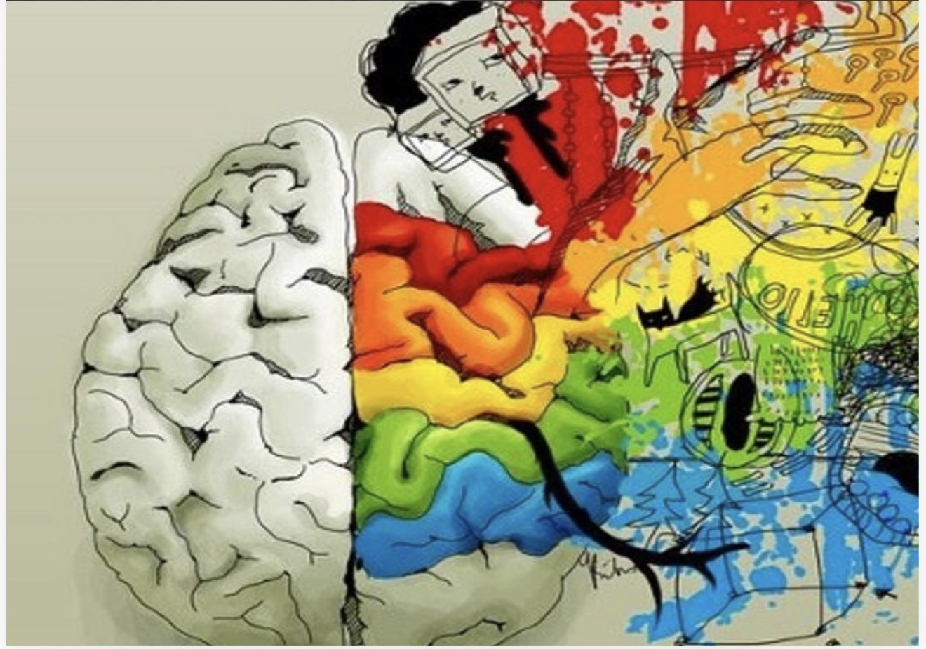 Illustrazione del cervello: emisfero razionale e creativo
